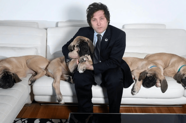 Los misteriosos perros del doctor Javier Milei y una pregunta odiosa: ¿a quién le sirve el&nbsp;Presidente?